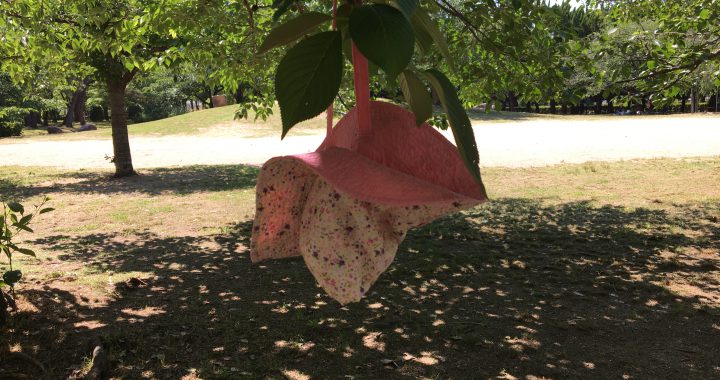 公園で見つけた帽子の落とし物